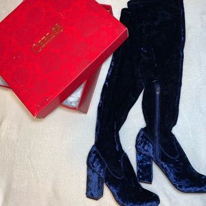 Zapato azul brillante